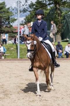 Bild 671 - Pony Akademie Turnier